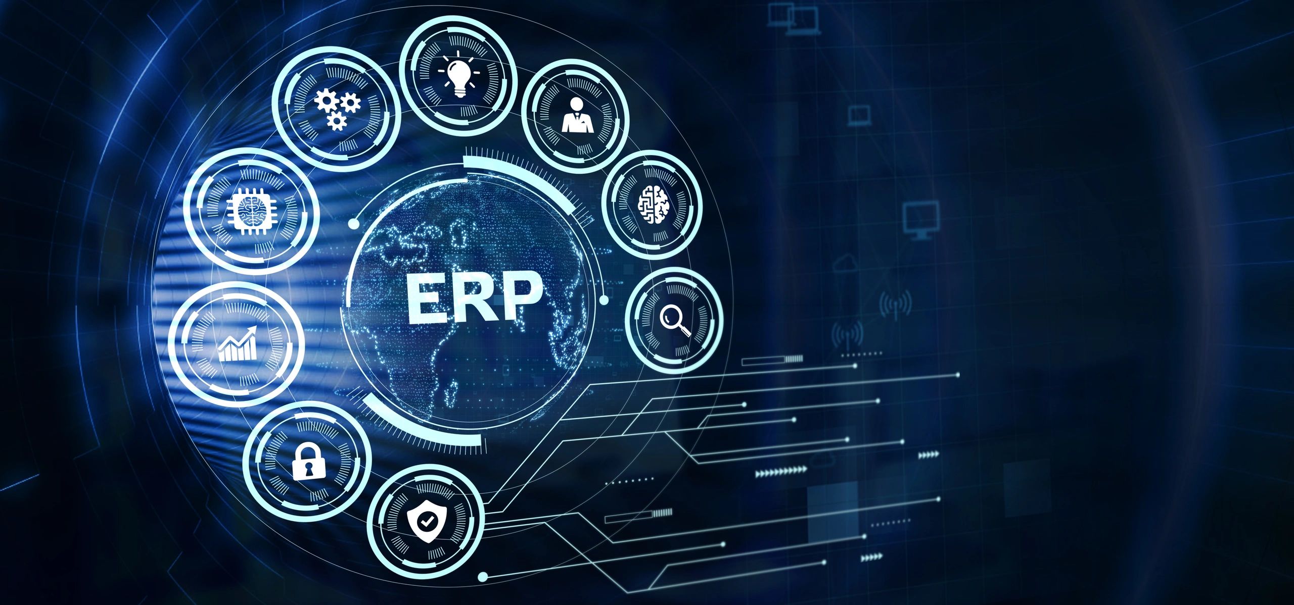 Emily Johnson - ERP Specialist
